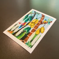 Birds in Trees | Fine Art Print - Image 6