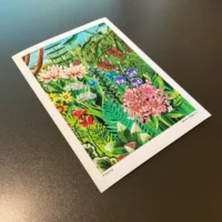 Flowers | Fine Art Print - Image 7