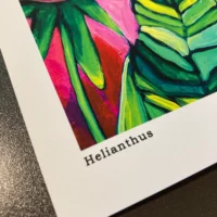 Helianthus | Fine Art Print - Image 2