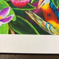 Resting Birds | Fine Art Print - Image 9